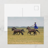 ハンガリーの騎兵と馬 ポストカード (正面/裏面)
