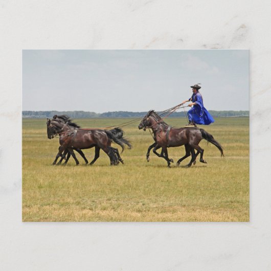 ハンガリーの騎兵と馬 ポストカード (正面)