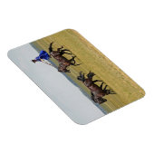 ハンガリーの騎兵と馬 マグネット (右側)