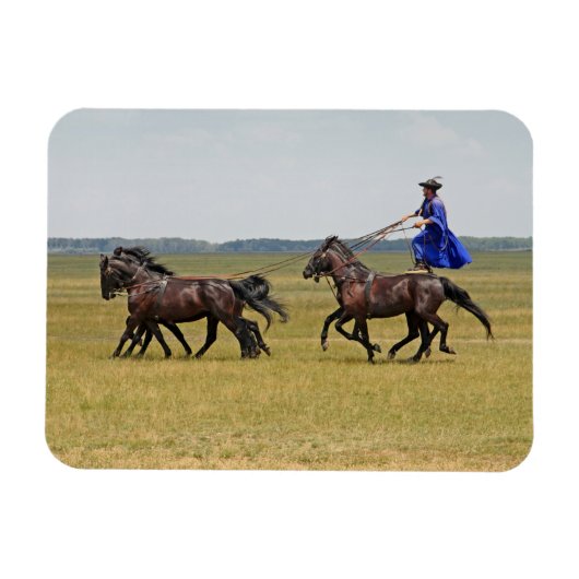 ハンガリーの騎兵と馬 マグネット (横)