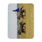 ハンガリーの騎兵と馬 マグネット (縦)