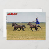 ハンガリーの騎馬及び馬カード (正面/裏面)