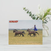 ハンガリーの騎馬及び馬カード (スタンド正面)