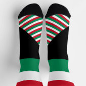 ハンガリーソックス、ハンガリー国旗の色/スポーツ ソックス (上部)