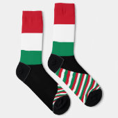 ハンガリーソックス、ハンガリー国旗の色/スポーツ ソックス (右)
