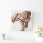 ハンガリービズラパピー スクエア壁時計 (ホーム)