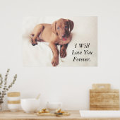 ハンガリービズラパピー ポスター (キッチン)