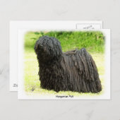 ハンガリープリ8W48D-03 ポストカード (正面/裏面)