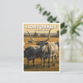 ハンガリーホルトバギー国立公園トラベル ポストカード (スタンド正面)