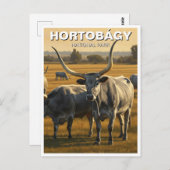 ハンガリーホルトバギー国立公園トラベル ポストカード (正面/裏面)