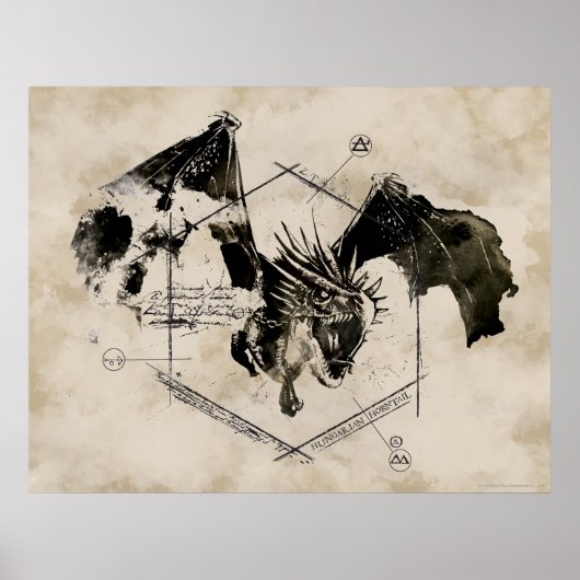 ハンガリーホーンテイルドラゴン ポスター (正面)