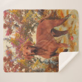 ハンガリーヴィツラアート装飾用クッションガラスコアスターC シェルパブランケット (正面(横))