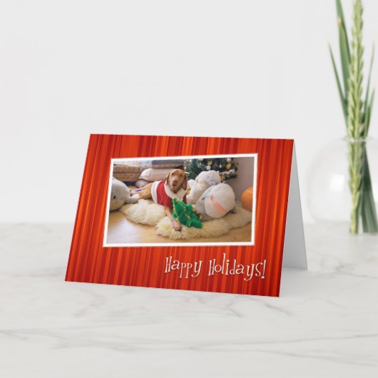 ハンガリー人のVizslaのクリスマスカード010 シーズンカード (正面)