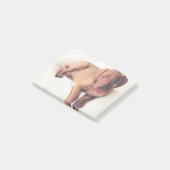 ハンガリー人のVizslaの子犬 ポストイット (アングル)