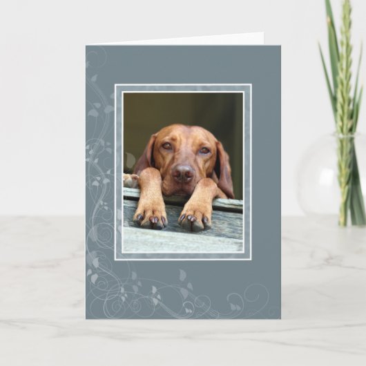 ハンガリー人のVizslaの空白のなカード002 カード (正面)
