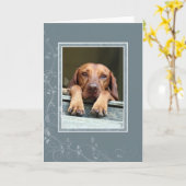 ハンガリー人のVizslaの空白のなカード002 カード (黄色い花)