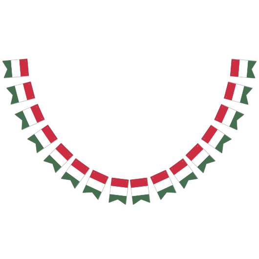 ハンガリー国旗のバナー バンティングフラッグ (全)