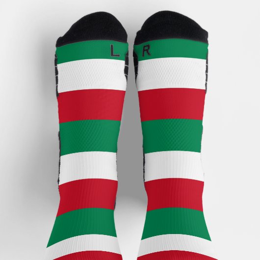 ハンガリー国旗を持つアスレティッククルー靴下 ソックス (上部)
