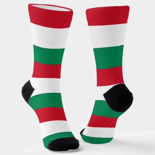 ハンガリー国旗を持つ女性用靴下 ソックス (傾斜あり)