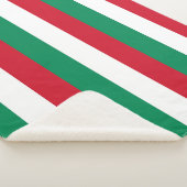 ハンガリー国旗を持つ愛国心のあるシェルパ毛布 シェルパブランケット (3/4)