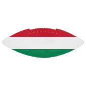 ハンガリー国旗を持つ愛国的なアメリカンフットボール アメリカンフットボール (パネル)