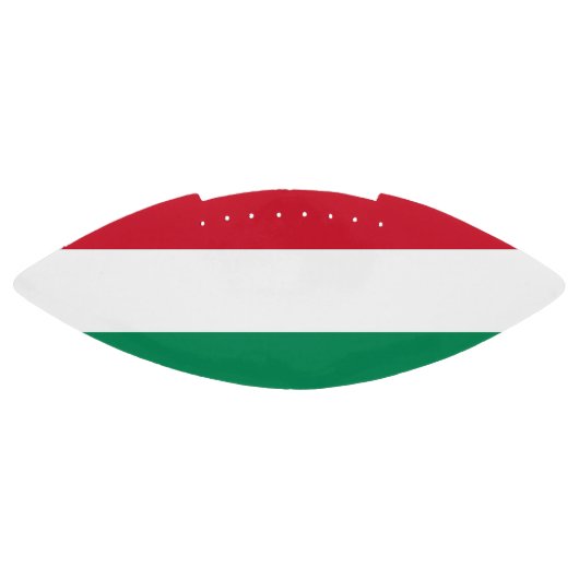 ハンガリー国旗を持つ愛国的なアメリカンフットボール アメリカンフットボール (パネル)