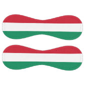 ハンガリー国旗を持つ愛国的なソフトボール ソフトボール (パネル)