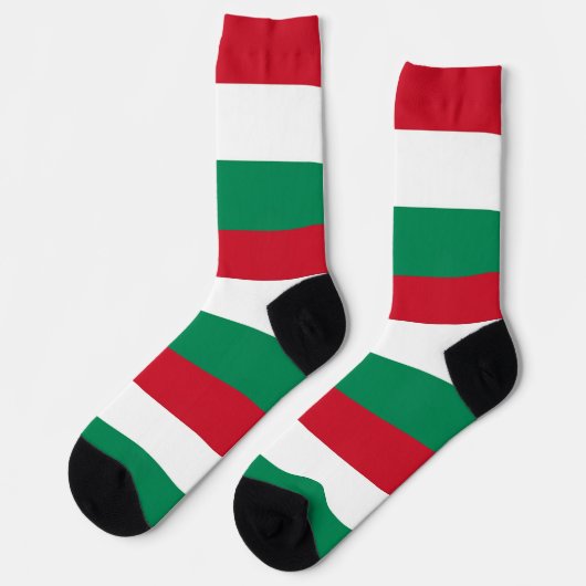 ハンガリー国旗を持つ男性の乗務用ソックス ソックス (左)