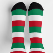 ハンガリー国旗を持つ男性の乗務用ソックス ソックス (上部)