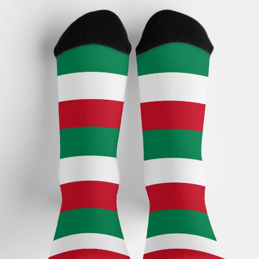 ハンガリー国旗を持つ男性の乗務用ソックス ソックス (上部)