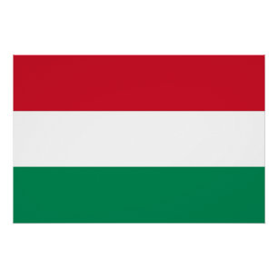 ハンガリー国旗を掲げた愛国的ポスター ポスター