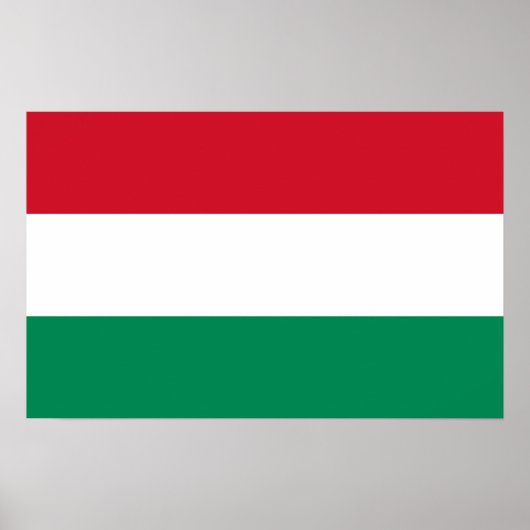 ハンガリー国旗を掲げた額縁プリント ポスター (正面)