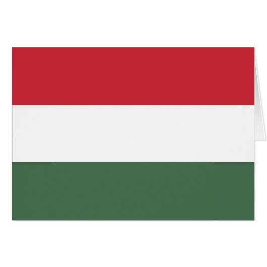 ハンガリー国旗 (正面横)