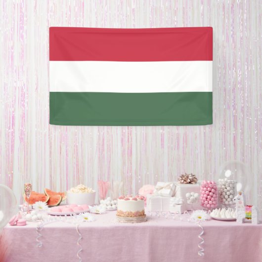 ハンガリー国旗 横断幕 (パーティー)