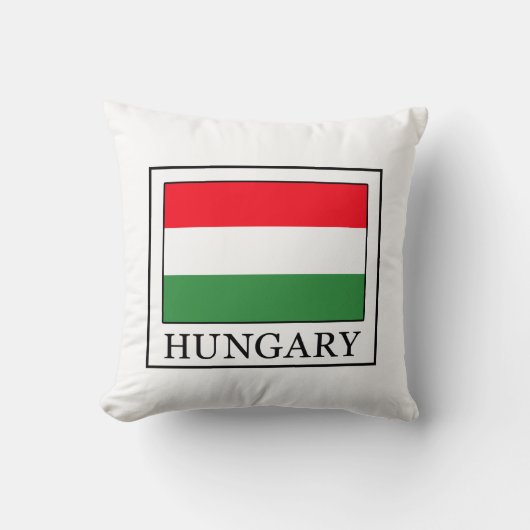 ハンガリー枕 クッション (正面)
