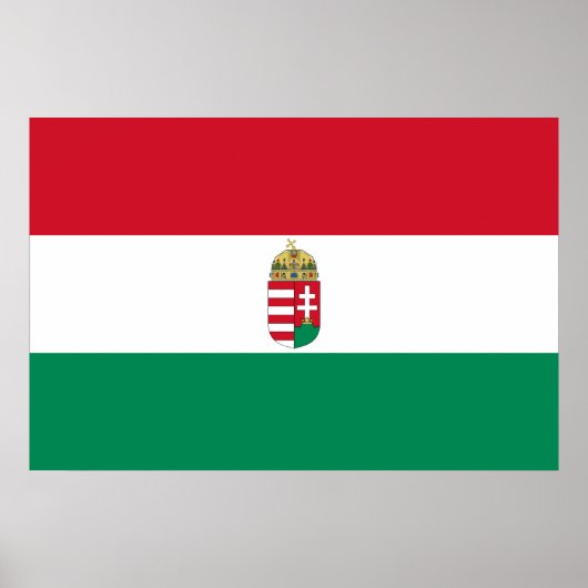 ハンガリー軍備付き，ハンガリー国旗 ポスター (正面)