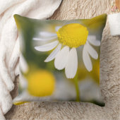 ハンガリー，カモミールフラワークローズアップ クッション (ブランケット)