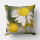 ハンガリー，カモミールフラワークローズアップ クッション (裏面)