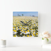 ハンガリー·カモミール·フィールド スクエア壁時計 (ホーム)