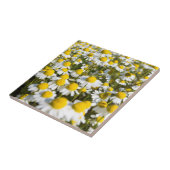 ハンガリー·カモミール·フィールド タイル (側面)