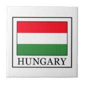 ハンガリー タイル (正面)