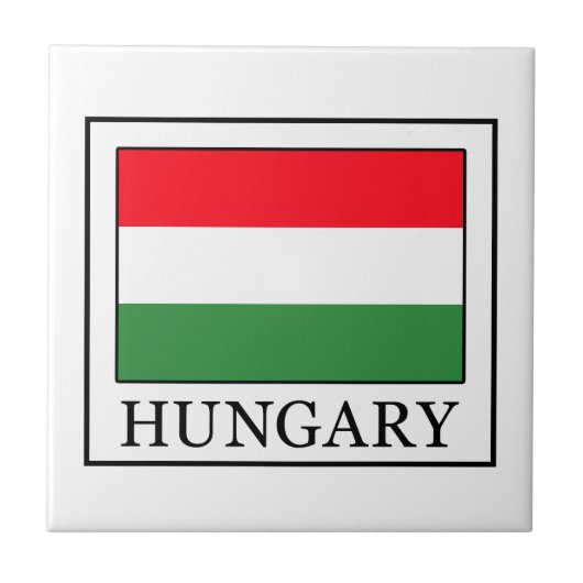 ハンガリー タイル (正面)
