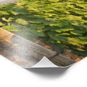 ハンガリー，トカジのブドウ畑 フォトプリント            (角)