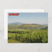 ハンガリー,トカジのブドウ畑 ポストカード (正面/裏面)