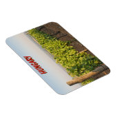 ハンガリー，トカジのブドウ畑 マグネット (右側)