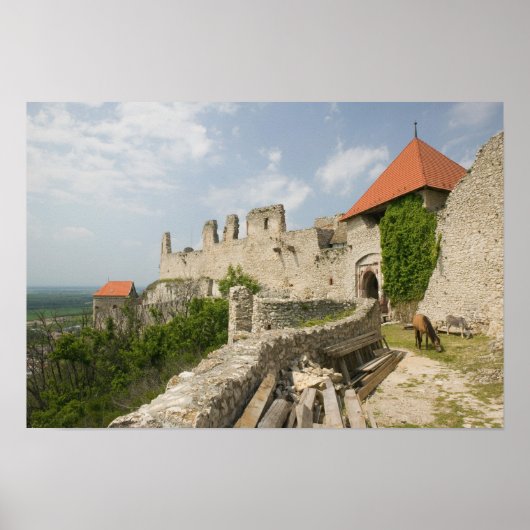 ハンガリー、バラトン湖地域、スメグ：スメグ ポスター (正面)