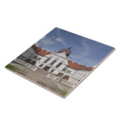 ハンガリー、ブダペスト、ゴドロ：マン王室のションホーム タイル (側面)