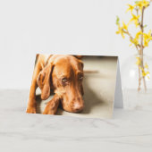 ハンガリー・ヴィズラのモチーフのカード カード (黄色い花)