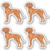 ハンガリー・ヴィズラ・ポインター犬のイラスト シール (正面)