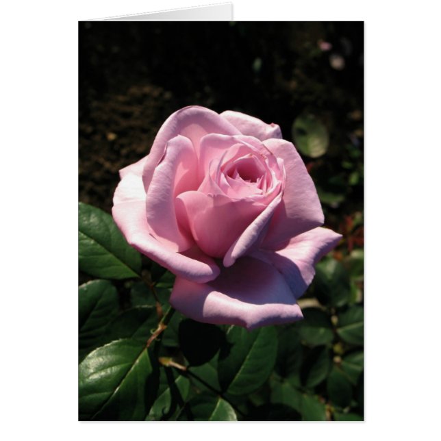 ハンガリーBoldogのszületésnapot (正面)